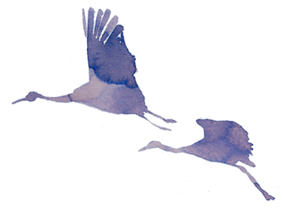 cranes in blue water color